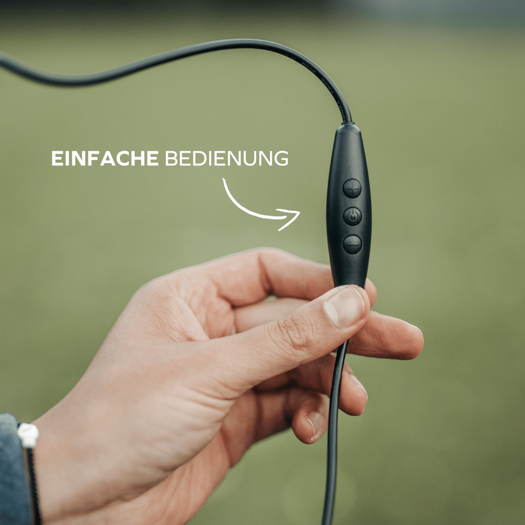 Flitzer Dachzelt Beleuchtung (LED)